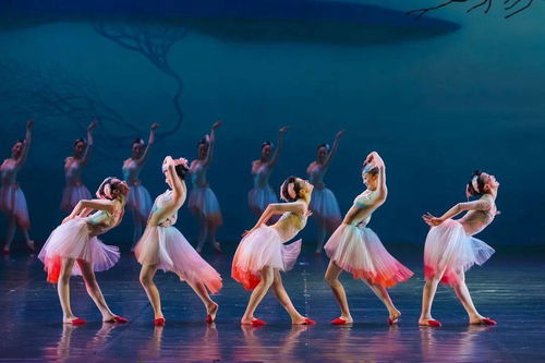 大年初一，舞劇《朱鹮》杭州站唯美鉅獻，開啟新春文藝盛宴